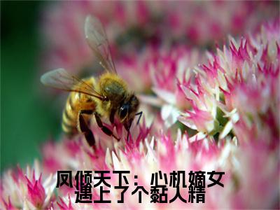 凤倾天下：心机嫡女遇上了个黏人精( 范清遥荣泽）小说全文免费读无弹窗大结局_凤倾天下：心机嫡女遇上了个黏人精小说全文免费阅读最新章节列表笔趣阁（ 范清遥荣泽）