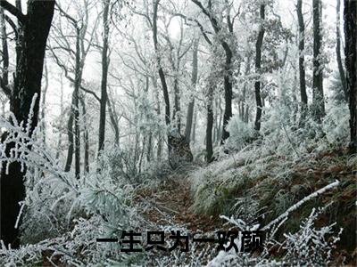 小说霍司南林初雪全文免费阅读无弹窗大结局-一生只为一欢颜霍司南林初雪免费阅读大结局