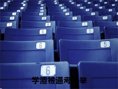 学渣被逼考科举程子安小说（程子安）全文在线阅读无弹窗大结局学渣被逼考科举