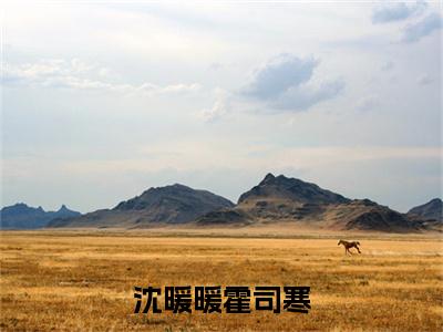 霍司寒沈暖暖（沈暖暖霍司寒）免费小说-（沈暖暖霍司寒）完结版在线阅读