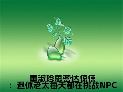  董淑珍思密达（惊悚：退休老太每天都在挑战NPC）全文免费阅读_惊悚：退休老太每天都在挑战NPC全文阅读_笔趣阁