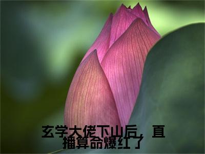 秦颜今小说全文免费阅读_秦颜今（玄学大佬下山后，直播算命爆红了）最新章节列表笔趣阁