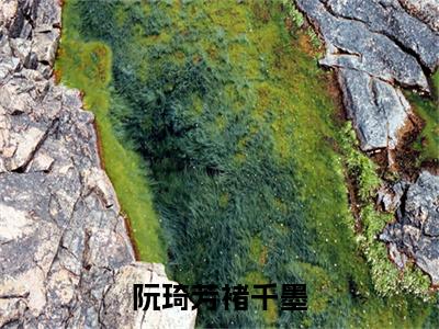 （热推新书）《阮琦芳褚千墨》全文免费阅读最新章节大结局-褚千墨阮琦芳无弹窗阅读