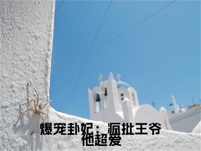 爆宠卦妃：疯批王爷他超爱（ 师折月燕潇然）全文免费阅读无弹窗大结局_（ 师折月燕潇然阅读无弹窗）爆宠卦妃：疯批王爷他超爱小说_笔趣阁