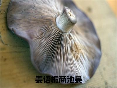 商池晏姜语栀小说（姜语栀商池晏）完整版小说阅读_商池晏姜语栀全本列表免费笔趣阁