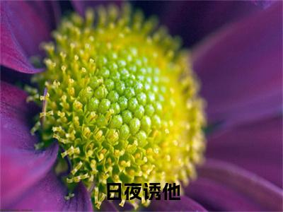 经典小说日夜诱他无广告小说免费阅读 虞安歌薄璟宴全章节免费阅读