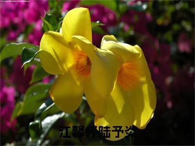 陆予炎江馨怀（江馨怀陆予炎）全文免费阅读无弹窗大结局_陆予炎江馨怀全文免费阅读（江馨怀陆予炎）最新章节列表_笔趣阁（陆予炎江馨怀）