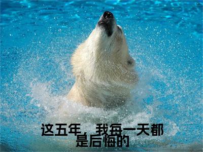 这五年，我每一天都是后悔的(温时冉傅寒川)全文在线阅读无弹窗_这五年，我每一天都是后悔的小说全文大结局