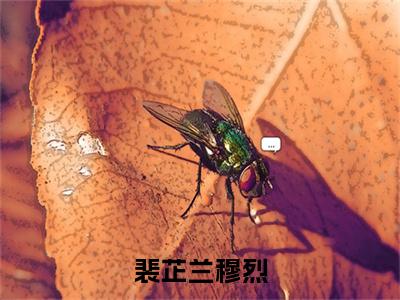 裴芷兰穆烈（穆烈裴芷兰小说）全文免费阅读无弹窗大结局_(穆烈裴芷兰小说)裴芷兰穆烈最新章节列表_笔趣阁（穆烈裴芷兰）