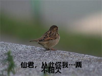 仙君，从此你我…两不相欠（玄辞清芙）小说全文大结局-（玄辞清芙）全章节完整版在线阅读