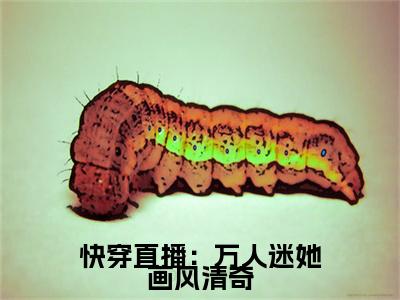 快穿直播：万人迷她画风清奇小说（伊柠)全文免费阅读无弹窗大结局_快穿直播：万人迷她画风清奇完整版最新阅读_笔趣阁（伊柠）