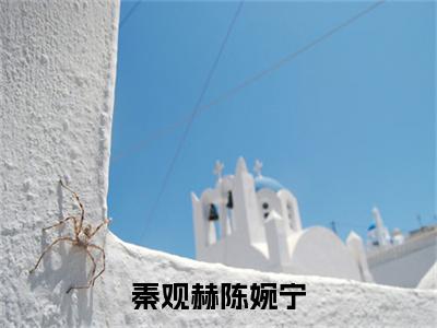 陈婉宁秦观赫(秦观赫陈婉宁)全文免费阅读无弹窗大结局_秦观赫陈婉宁小说在线阅读无删减