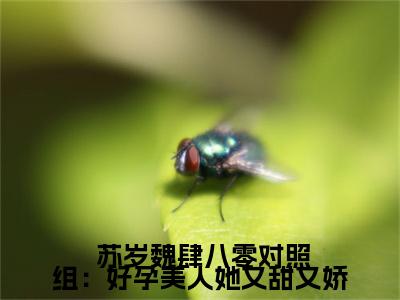 八零对照组：好孕美人她又甜又娇（ 苏岁魏肆）小说全文免费阅读无弹窗大结局_（ 苏岁魏肆免费阅读）八零对照组：好孕美人她又甜又娇最新章节列表笔趣阁