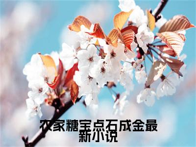  苏糖轩辕谨（农家糖宝点石成金）全文免费阅读无弹窗大结局_（农家糖宝点石成金无弹窗）_笔趣阁