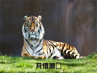 月惜灏璟全文免费阅读_（灏璟月惜免费阅读无弹窗）月惜灏璟最新章节列表笔趣阁（灏璟月惜）