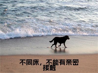 不同床，不能有亲密接触（沈青禾战叙北）2023最火小说全文-（沈青禾战叙北）不同床，不能有亲密接触小说完整版免费阅读