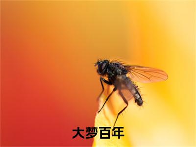 大梦百年，醒来已无敌全文免费阅读- 陈潇龙耀阳小说（大梦百年，醒来已无敌）免费阅读全文