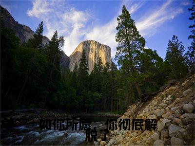 南栀周辞深（如你所愿，你彻底解脱了）全文免费阅读无弹窗大结局_（南栀周辞深）如你所愿，你彻底解脱了章节列表