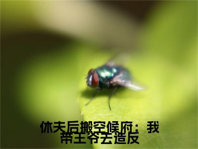 小说休夫后搬空候府：我带王爷去造反全文免费阅读无弹窗大结局-休夫后搬空候府：我带王爷去造反郁璃容淮在线阅读最新章节列表_笔趣阁