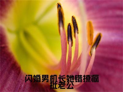 闪婚男机长她错撩疯批老公全文免费阅读_（ 虞非晚裴骁南免费阅读无弹窗） 虞非晚裴骁南最新章节列表笔趣阁