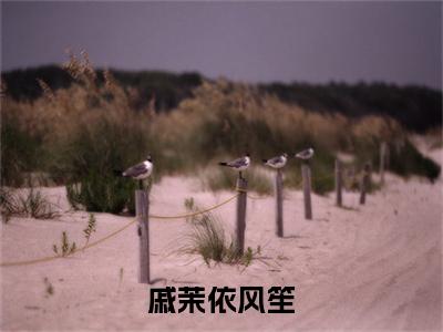 戚茉依风笙(风笙戚茉依)全文免费阅读无弹窗大结局_(戚茉依风笙免费阅读全文大结局)最新章节列表_笔趣阁（风笙戚茉依）