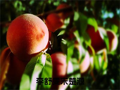 李舒雯宋楚源（宋楚源李舒雯）完结版小说-李舒雯宋楚源小说全文免费阅读笔趣阁