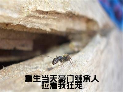 重生当天豪门继承人拉着我狂宠小说（苏薇时宴）免费阅读全文无弹窗大结局_苏薇时宴免费阅读无弹窗小说_小说笔趣阁