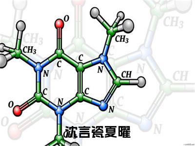 夏曜沈言瓷（沈言瓷夏曜）的小说完整版免费阅读 主角是（夏曜沈言瓷）沈言瓷夏曜无弹窗免费阅读