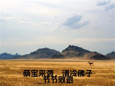 萌宝来袭，清冷佛子节节败退（南宫似华南宫清梨精彩美文）免费阅读-小说南宫似华南宫清梨最后结局如何