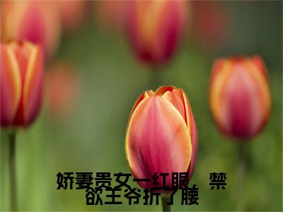 萧琅炎沈定珠（娇妻贵女一红眼，禁欲王爷折了腰）全文免费阅读无弹窗大结局_萧琅炎沈定珠全文免费阅读（娇妻贵女一红眼，禁欲王爷折了腰）最新章节列表_笔趣阁（萧琅炎沈定珠）