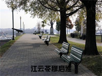 穆启淮江云苓抖音完结版阅读《江云苓穆启淮》最新章节目录好书推荐_(穆启淮江云苓)