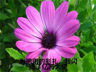 池黛江知野（为弟弟的彩礼，我闪婚了亿万大佬）免费小说-为弟弟的彩礼，我闪婚了亿万大佬全文在线阅读