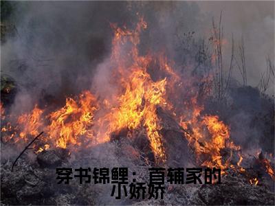 主角是林玥陆淮的小说全文免费阅读无弹窗大结局-《穿书锦鲤：首辅家的小娇娇》完整章节阅读