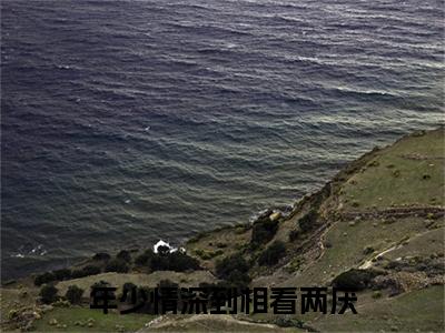 年少情深到相看两厌嵇绍莹程嘉裕是什么小说-年少情深到相看两厌全文免费阅读无弹窗大结局（嵇绍莹程嘉裕）最新章节列表在线阅读