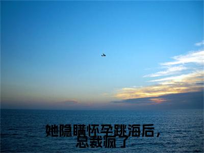 她隐瞒怀孕跳海后，总裁疯了（顾昀禾宋乔）全文免费阅读无弹窗大结局_顾昀禾宋乔小说最新章节列表