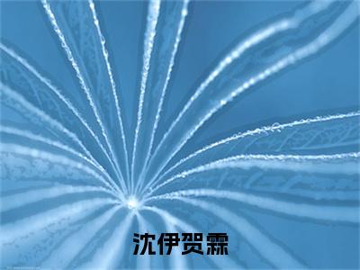 沈伊贺霖在线阅读全文免费阅读无弹窗大结局_贺霖沈伊最新章节列表_笔趣阁