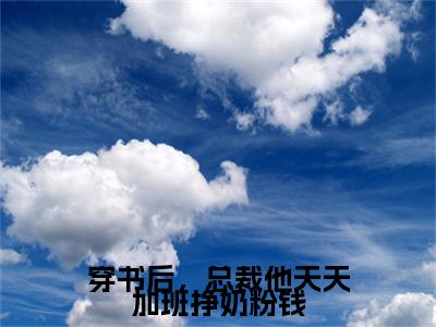 穿书后，总裁他天天加班挣奶粉钱（陆易林枝枝）全文免费大结局，穿书后，总裁他天天加班挣奶粉钱结局在线阅读