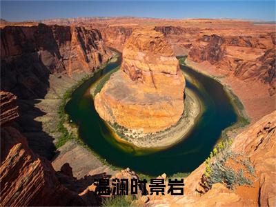 温澜时景岩（温澜时景岩）小说全文免费阅读大结局-温澜时景岩免费阅读无弹窗大结局