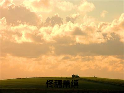 佟穗萧缜是什么小说-佟穗萧缜全文免费阅读无弹窗大结局（佟穗萧缜）最新章节阅读