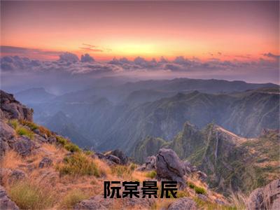 阮棠景辰（阮棠景辰）全文免费阅读无弹窗大结局_（阮棠景辰无弹窗）最新章节免费阅读_笔趣阁