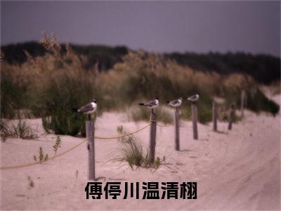 温清栩傅停川独家小说傅停川温清栩-温清栩傅停川无删版小说推荐