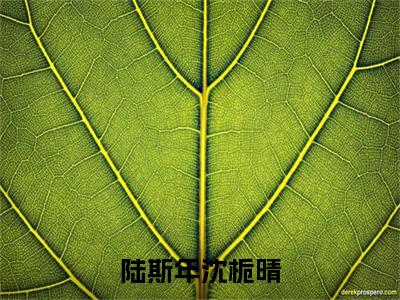 陆斯年沈栀晴最新章节（沈栀晴陆斯年）全文免费阅读无弹窗大结局_沈栀晴陆斯年免费阅读