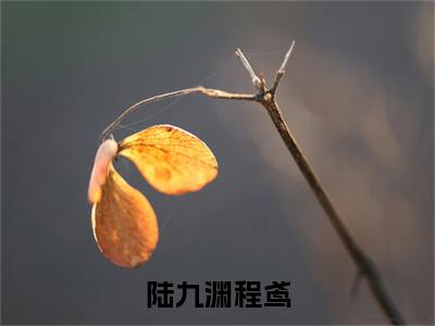 陆九渊程鸢是什么小说，陆九渊程鸢（陆九渊程鸢）完整章节在线阅读