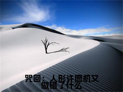 咒回：人形许愿机又做错了什么（羂索全文在线阅读）-咒回：人形许愿机又做错了什么免费阅读