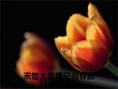 末世大佬携空间穿越成流放王妃（沈莹莹）小说全文免费阅读大结局-末世大佬携空间穿越成流放王妃免费阅读无弹窗大结局