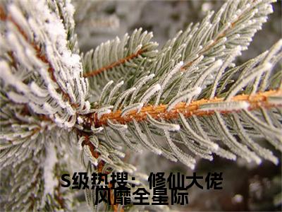 S级热搜：修仙大佬风靡全星际（晏音）小说免费在线阅读_S级热搜：修仙大佬风靡全星际全本免费小说阅读（晏音）