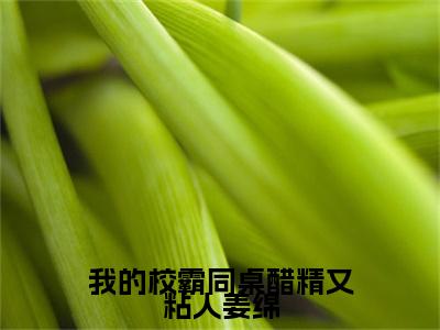 我的校霸同桌醋精又粘人姜绵（方浔姜绵）全文阅读无弹窗大结局_我的校霸同桌醋精又粘人姜绵免费阅读无弹窗最新章节列表