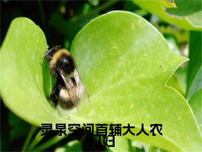 苏落儿最新章节（灵泉空间首辅大人农门妇）全文免费阅读无弹窗大结局_苏落儿免费阅读（灵泉空间首辅大人农门妇）