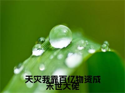 天灾我靠百亿物资成末世大佬（文歆）全文免费阅读_天灾我靠百亿物资成末世大佬全文阅读_笔趣阁（文歆）