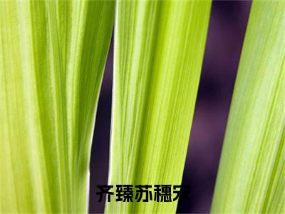 齐臻苏穗宋苏穗宋齐臻免费阅读无弹窗最新章节列表-（齐臻苏穗宋）苏穗宋齐臻全文免费阅读大结局笔趣阁